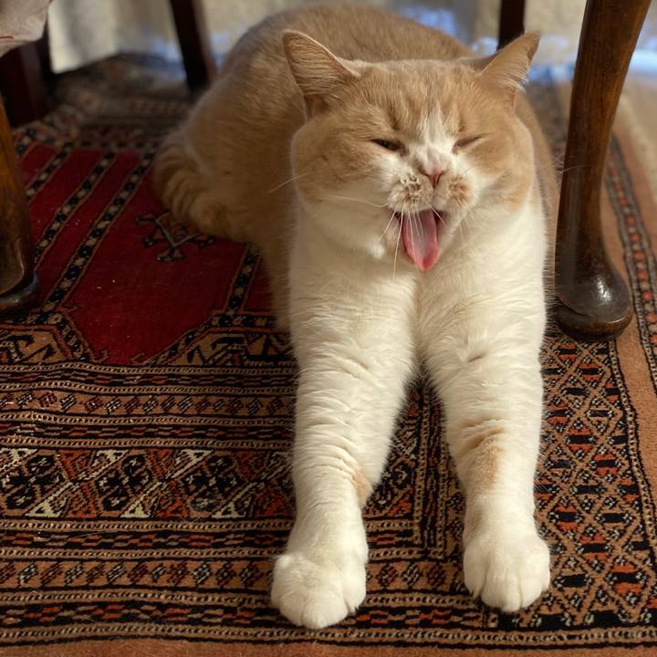 8f371801 f888 4f0e 952d 90f53132f725 1602461294287