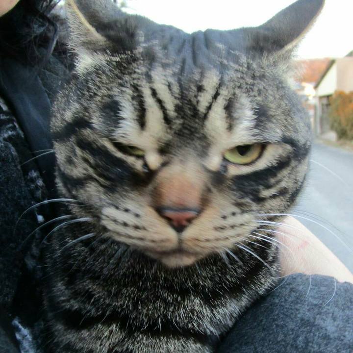 8f3734b8 04cf 42e4 944c ef7627c1608e 1517740615284