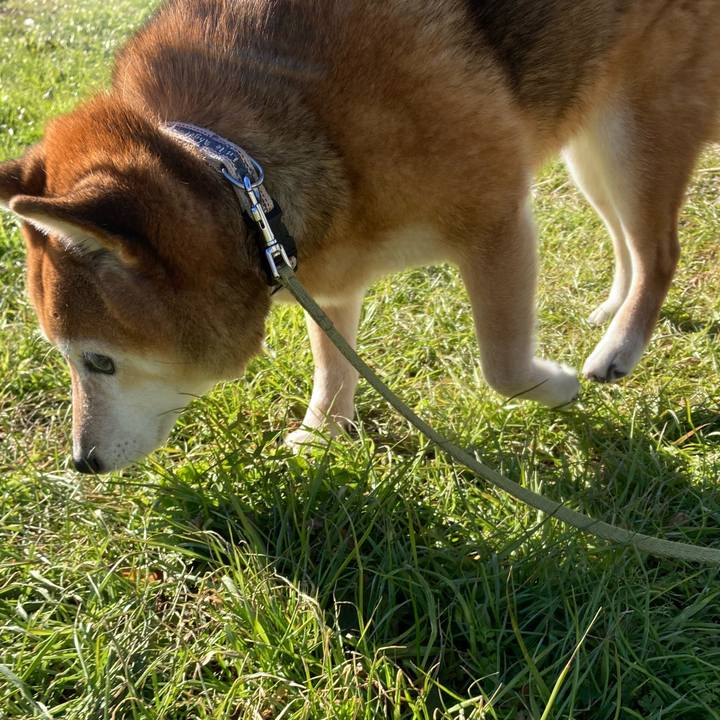 8f375c28 aab8 4283 b455 805175f53b8f 1671966251074