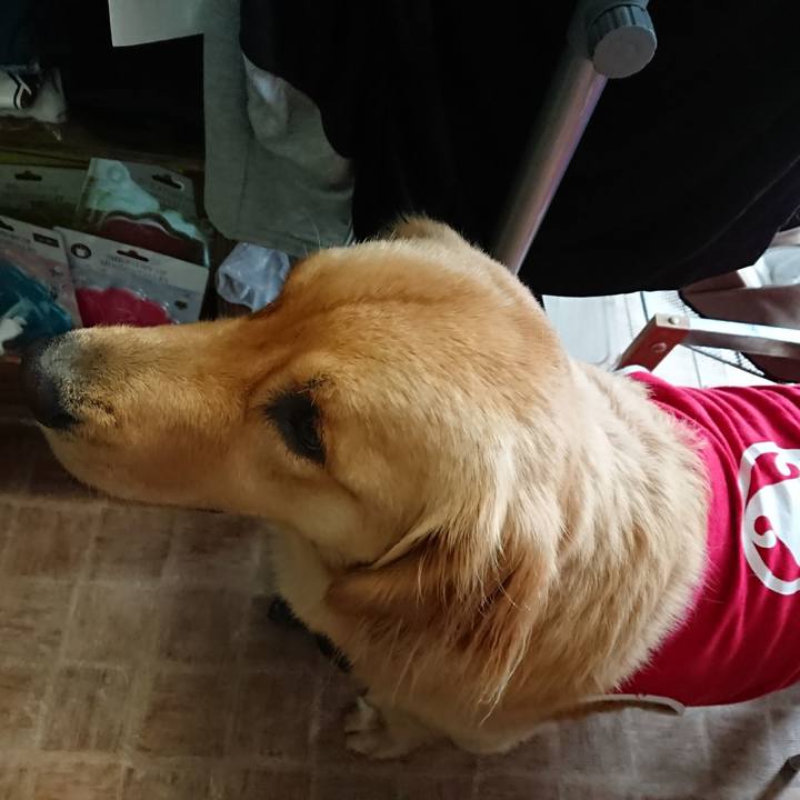 8f3762bc 55b6 4309 a92e 39a11ce98d0e 1508763559240