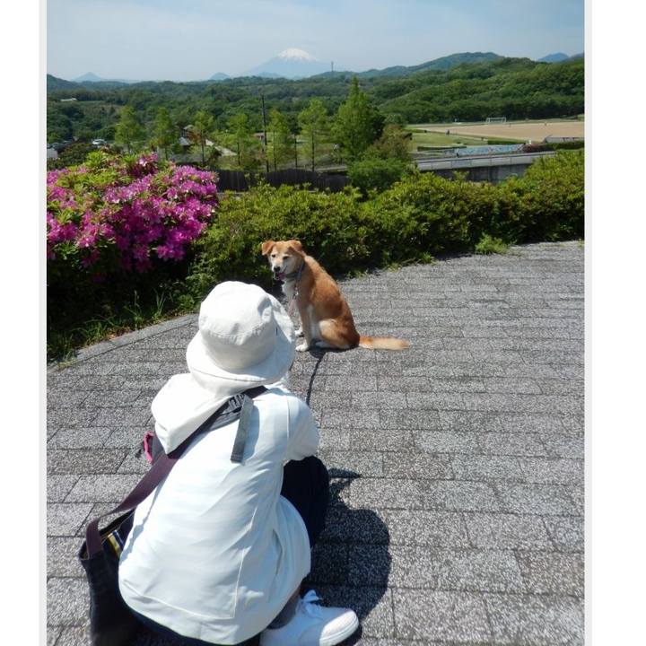 8f377bd5 7311 41c7 86c7 145ebbdda5e9 1525075981451