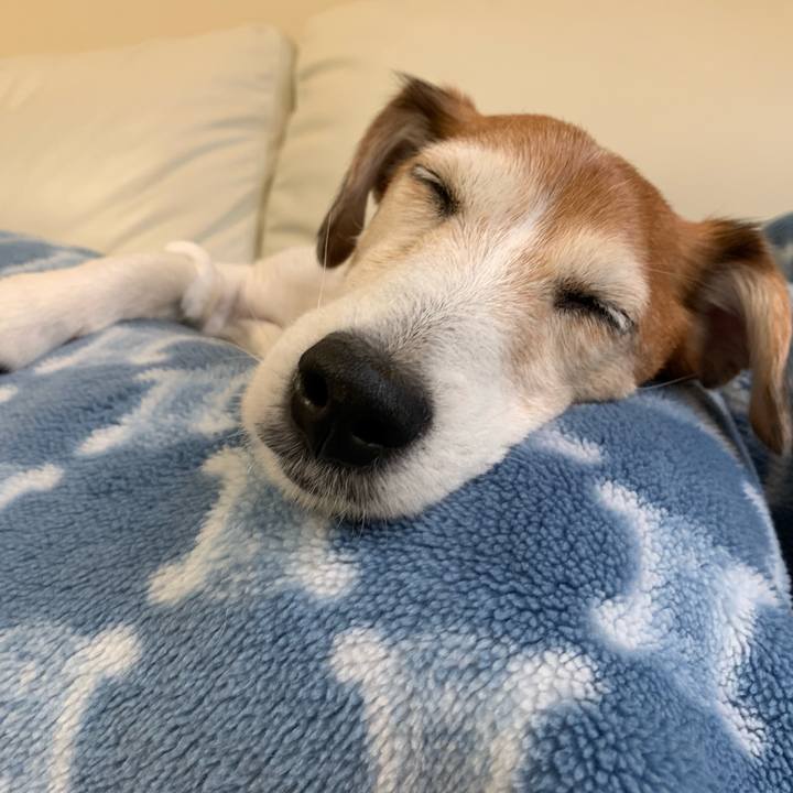 8f377ca0 c48e 42b3 a317 8b7edc2b221d 1592345235360