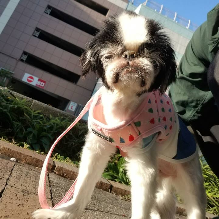 8f37d675 77ca 4462 b1b6 b70930378a03 1633241516648