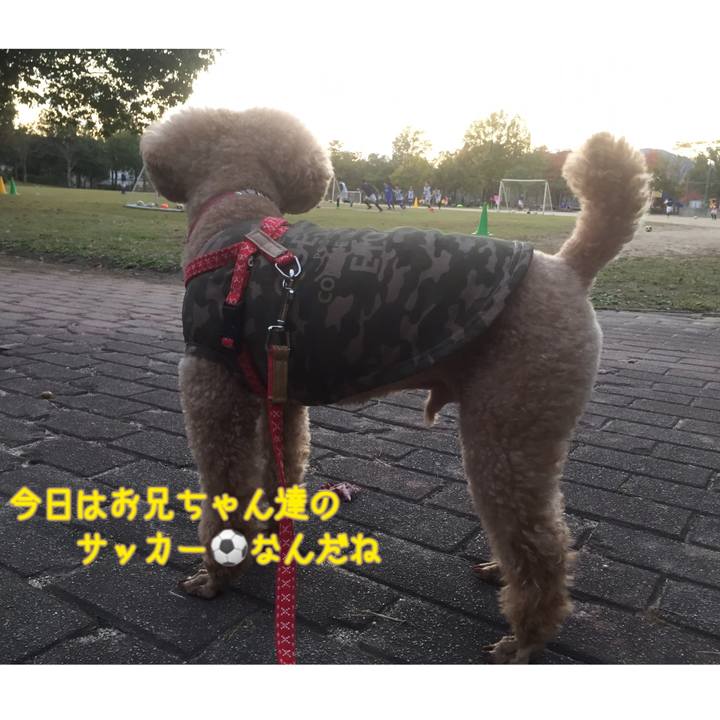 8f37e3f9 3721 4352 ac88 109039b9c4ae 1540805933252