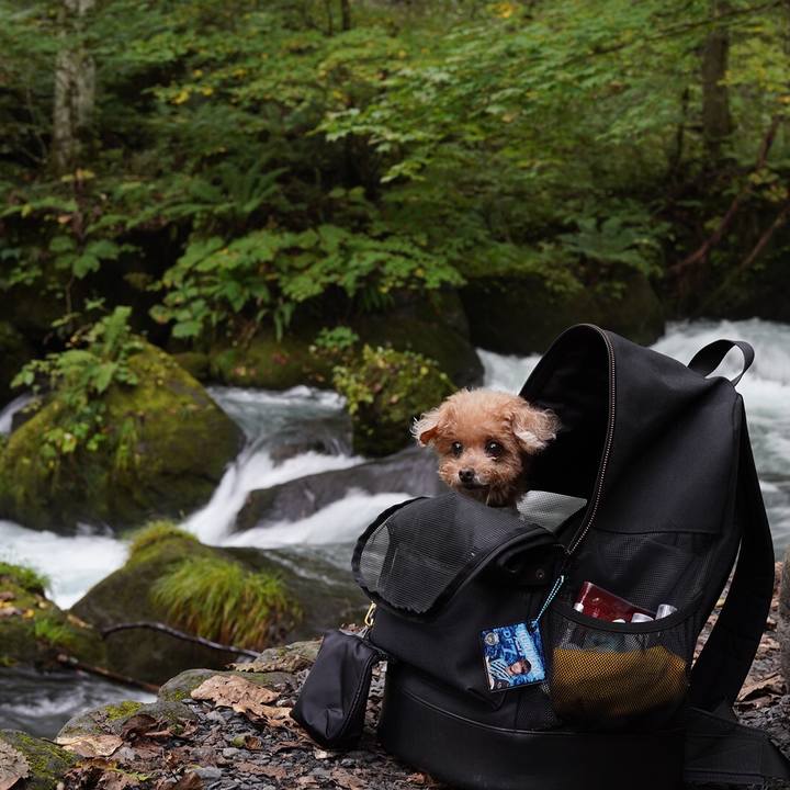 8f380116 2b45 4c24 91fa c1622b9cc625 1697256077657