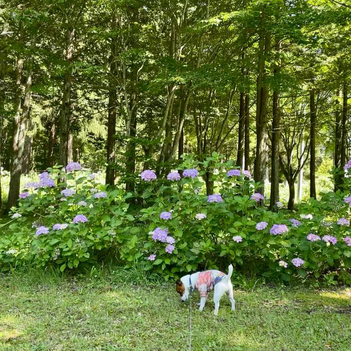 8f382549 1dcb 4183 b8ac 5a062f72d5cf 1626515208606