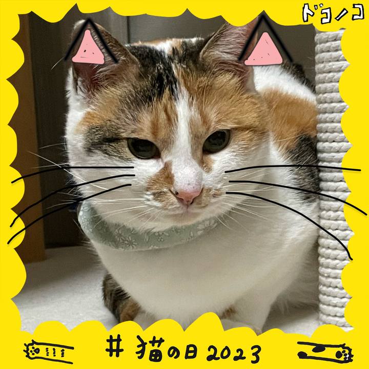 8f383120 47ae 4e13 812f 51d5efcd07e6 1677069302374