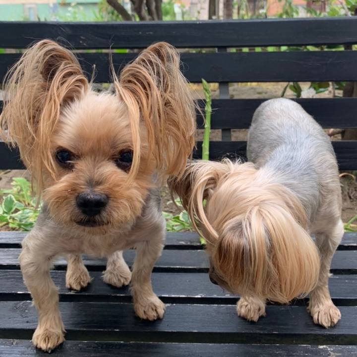 8f384cd9 5289 4cb3 9e5f 06a0a50a3d02 1625393107295