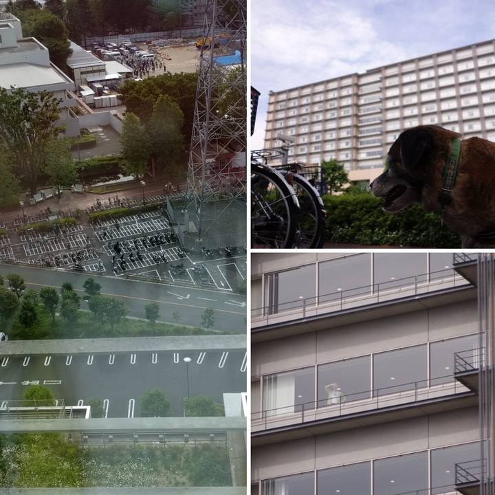 8f385500 1ea1 4b79 a52f 99c6db1afec2 1526520608394