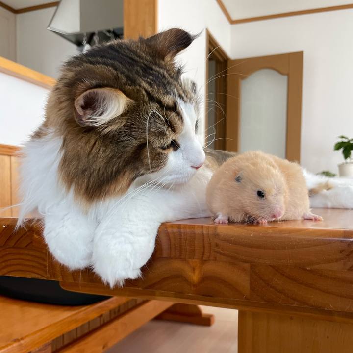 8f38a31d a7ec 4591 94fa 39dddb5be7e2 1661659376287