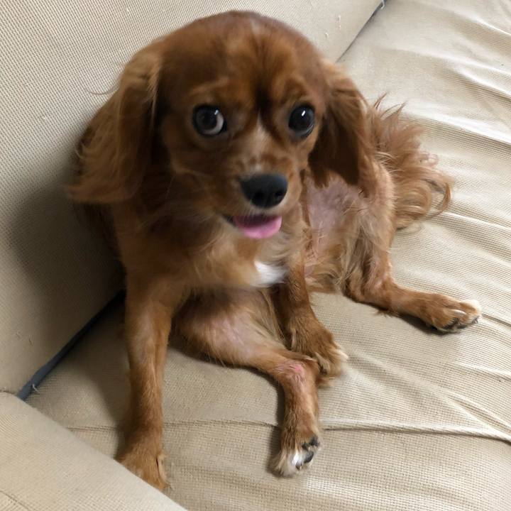 8f38a8cd 5534 4a1d 9f37 d2eca681a1ea 1532038181351