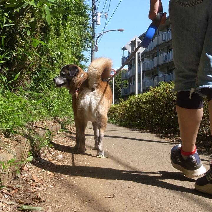 8f38c586 e194 4aeb 86f1 1cc67629d39b 1608337658936