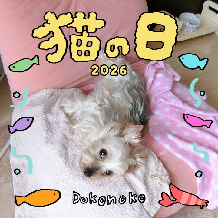 8f38d911 c7b4 4b97 a03f 05e613dd1f46 1771724854748