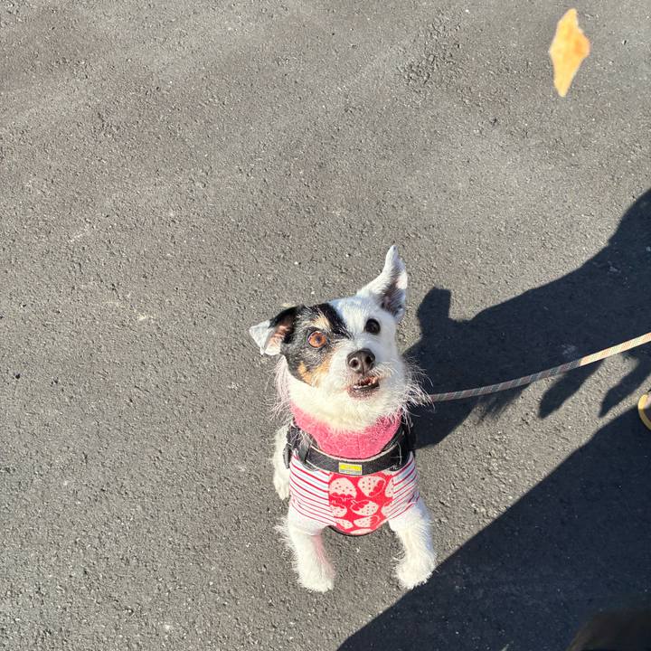 8f38e3af 3f22 4e37 84a5 8ec3b4eda096 1772927452641