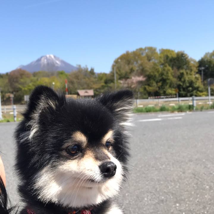 8f38ebcb 967f 4fa8 8b32 9028d5e76ff1 1564890690744