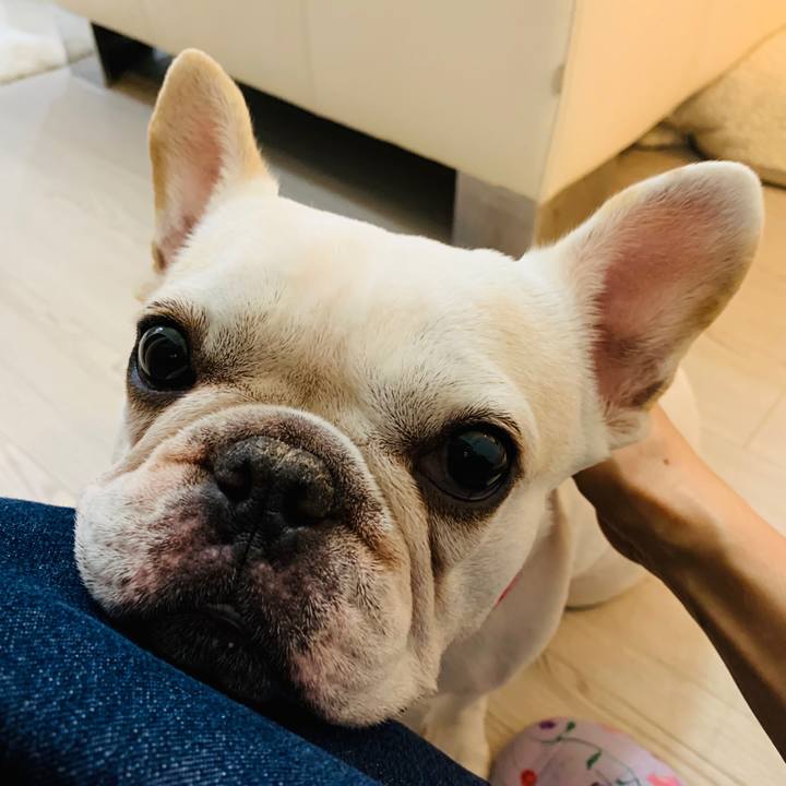 8f399e3b f8f9 4f4e abf1 be81930885b8 1572956979005