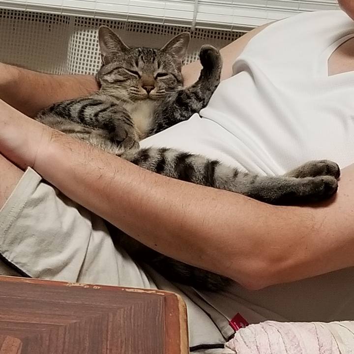 8f39b75d 9a68 4888 b77f 3d2f9ec5bdb9 1680177896073