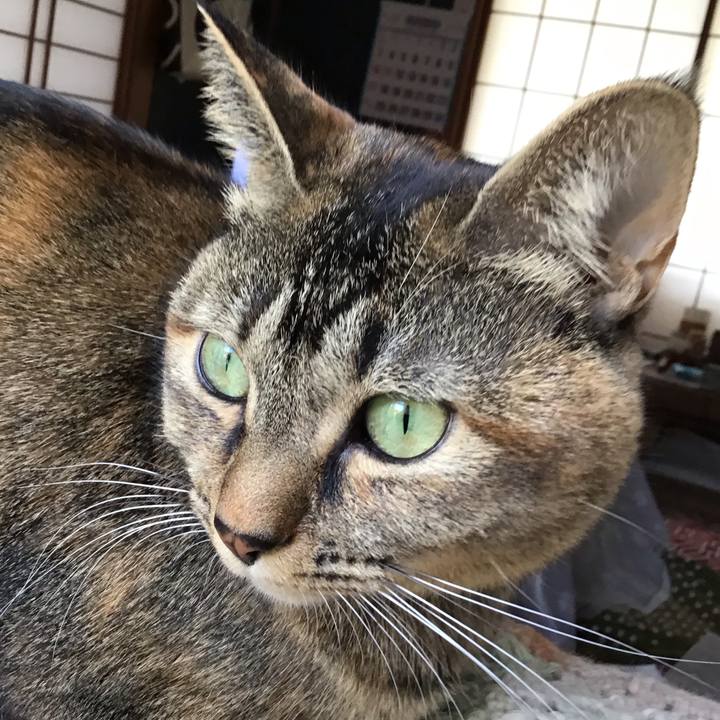 8f3a20c9 4130 4871 95a2 9715df7151ce 1634806659946