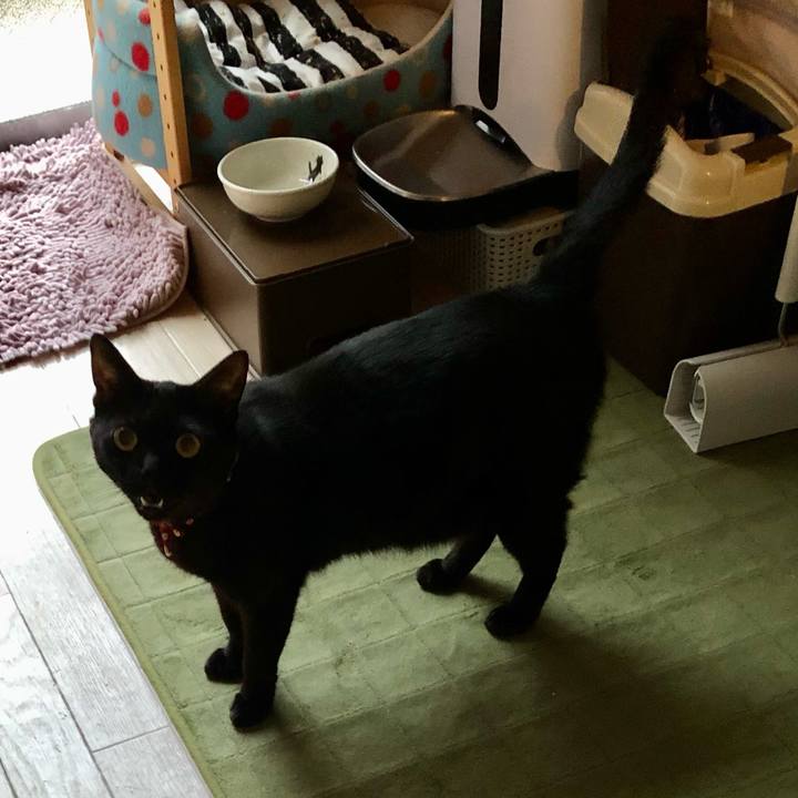 8f3a49d6 18a0 4293 a8c1 1fb7b260b8c0 1607898860999