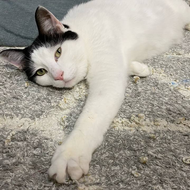 8f3a6260 49b5 4caf 9eb5 0aba8af1e6e2 1640859441387