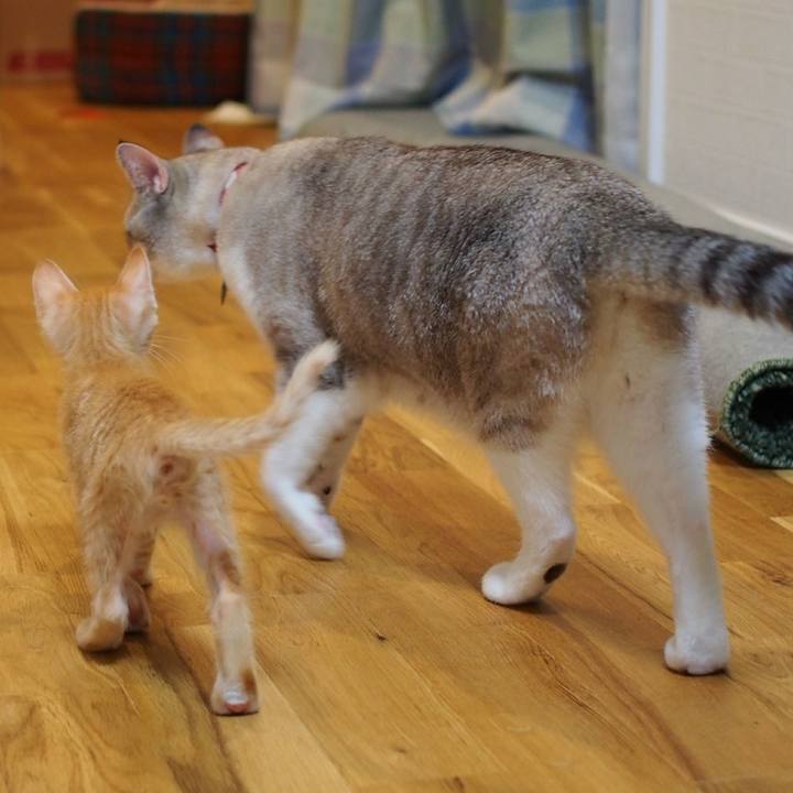 8f3a891b a6b7 4fa0 b783 508adb7deeb2 1571986380825