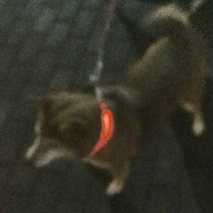 8f3abcda e464 46f7 88f7 8b1056281145 1577002711296