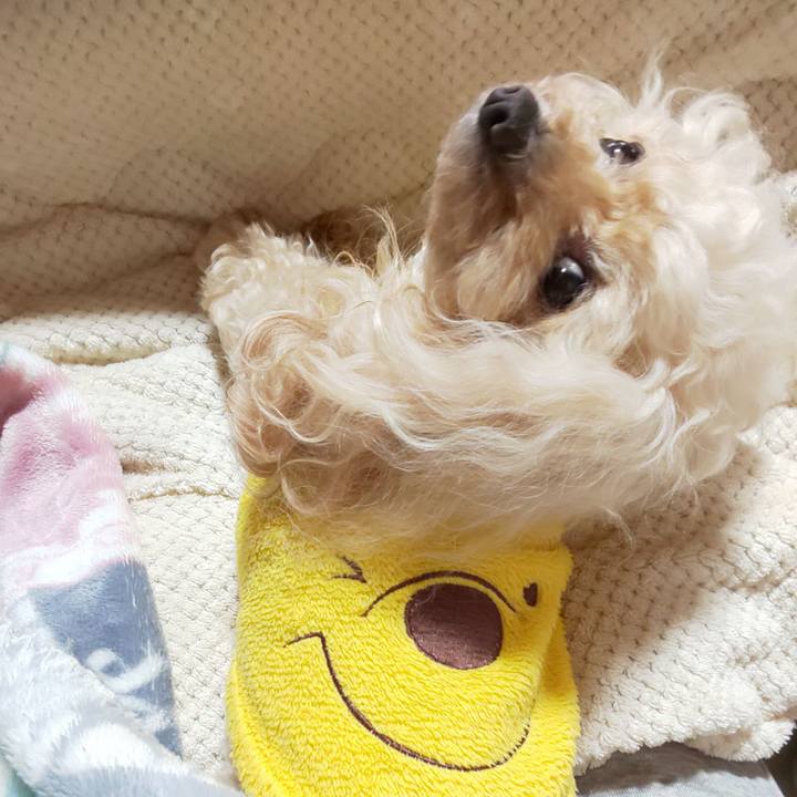 8f3ad27e f649 4aa5 ad0c 418d933ccc49 1678782215289