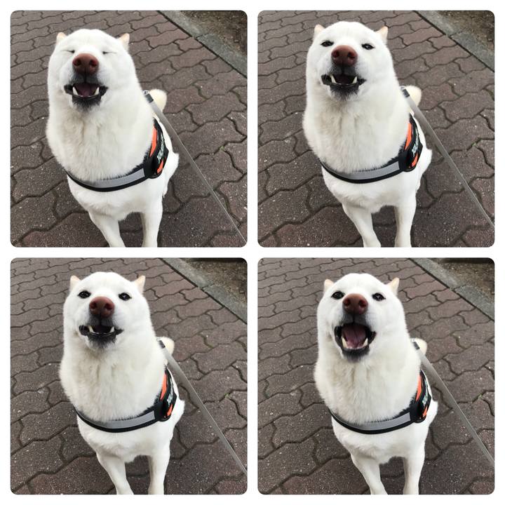 8f3aec7c baa4 479a b492 f39dee9b5f16 1546245591554