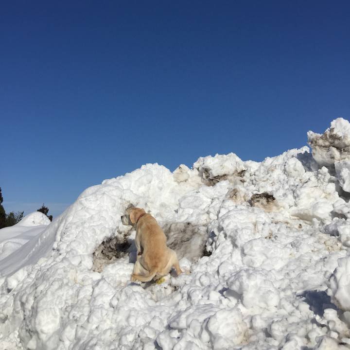 8f3b0c78 c5a6 4c12 a0fc e9de2603d0cb 1518589234423