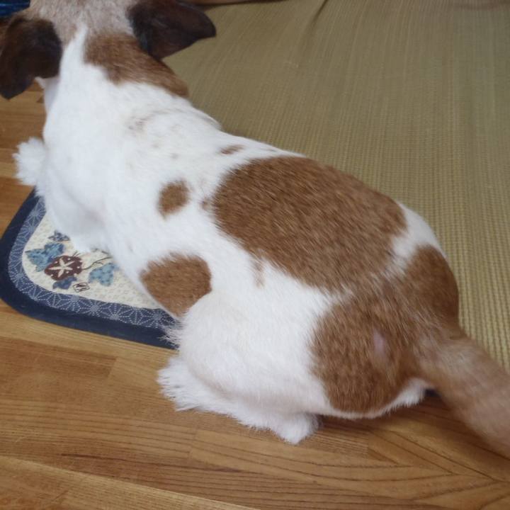 8f3b68bc a4a1 4807 851a 7e98ffe5f331 1532999840619