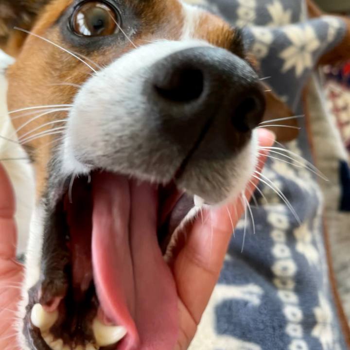 8f3b8514 6913 422e 97ae 57264d1c81cb 1633926159044