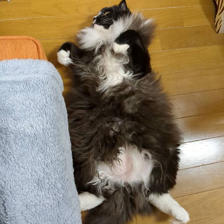 8f3bbd6b 6083 4081 8abd e9be162ea8ee 1670933008260