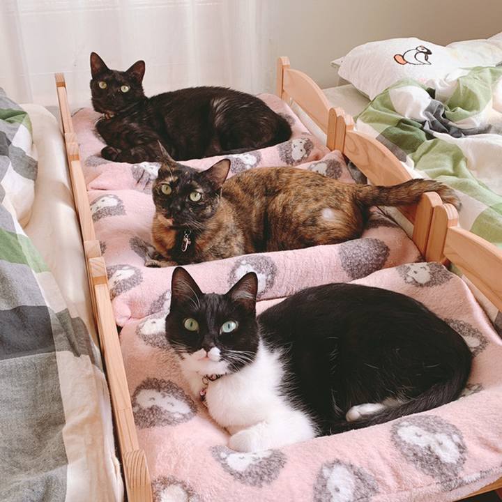 8f3bd3e3 8076 42a1 bf16 896437d38db1 1558243581720