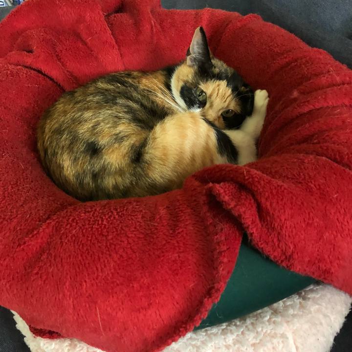 8f3bd4bc 03c9 4960 9280 98cce3a55189 1528159487119