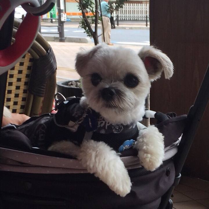 8f3c320f 5aab 4a4d 870b 09eacefcd82b 1528801778610