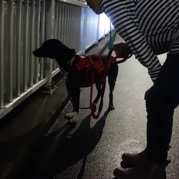 8f3c64d5 0aea 4bc6 a30a a26e744c03ab 1603452485606