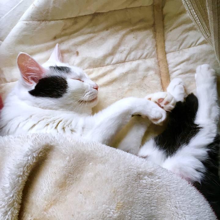 8f3c65c8 b394 45f8 9d4e 2477a44f542a 1567489454206