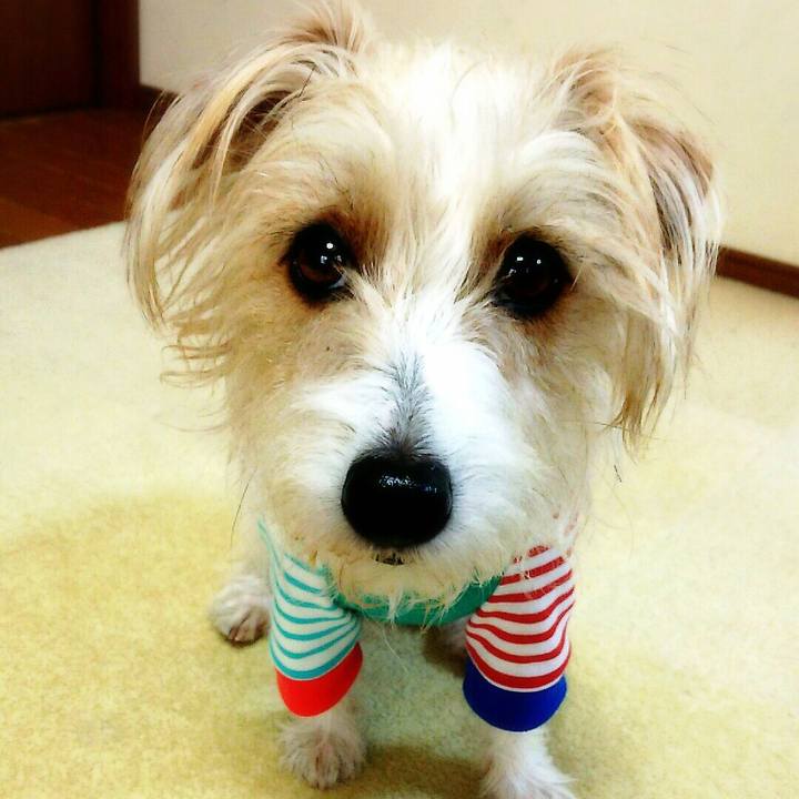 8f3c73b9 7cf8 460e 97b9 6cac27b90dde 1521379178675