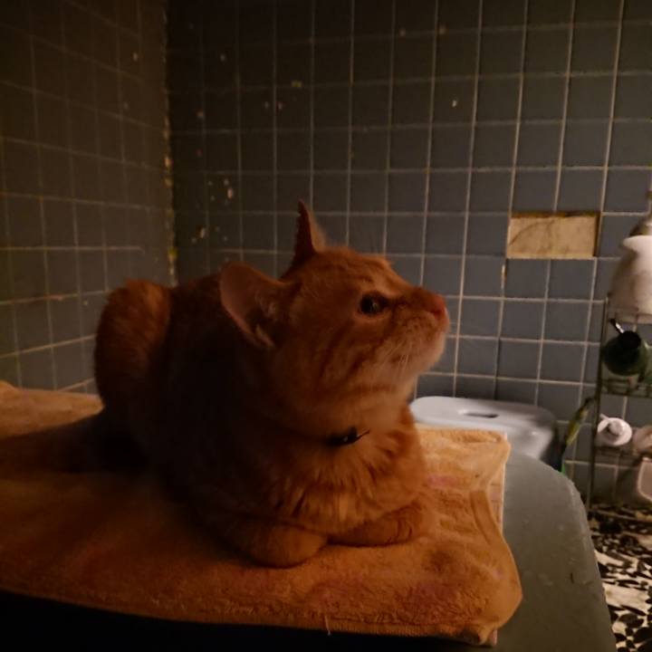 8f3c7ac0 d1ec 4f6d afff 4eb96088e1ed 1637488497729