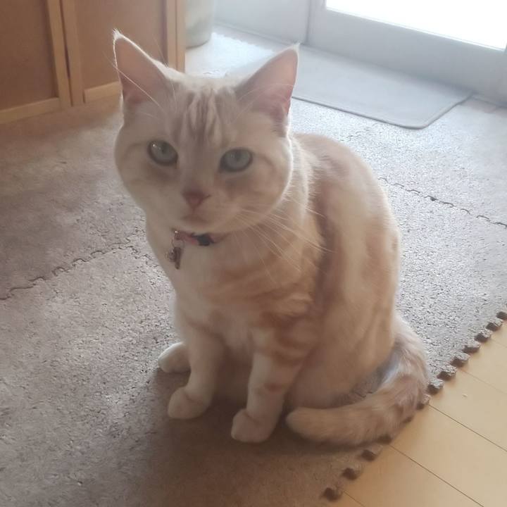 8f3cb8fa 7ce2 4e97 b61b cd57554b40b3 1557213342888