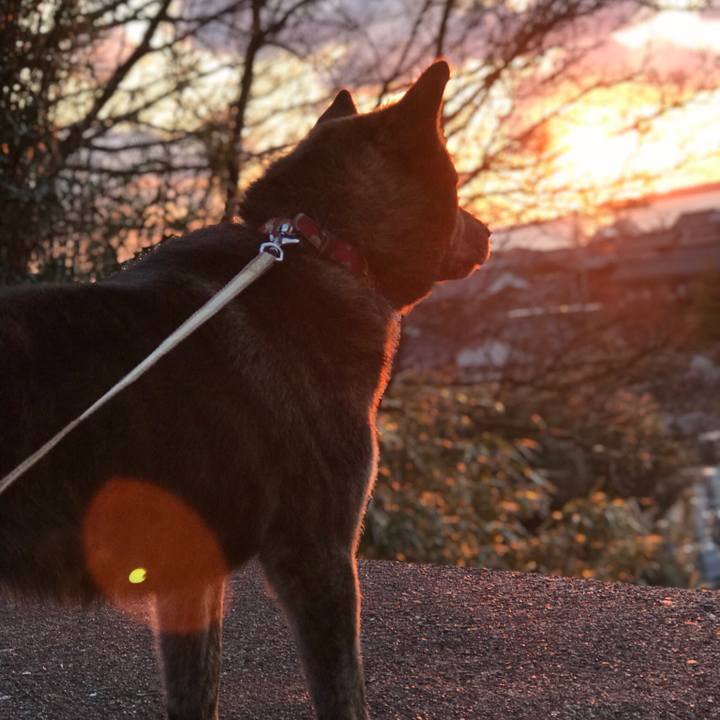 8f3cd469 d370 4c0c 918b 5c3f3caf8eee 1553331728380