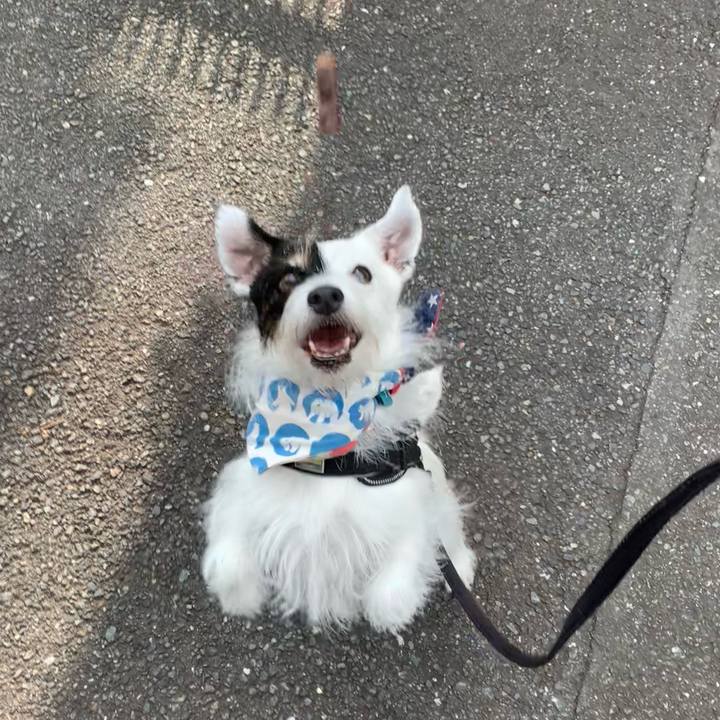 8f3cf3ab 3c6f 46c4 9b0c 6f94b9d79192 1756336073181