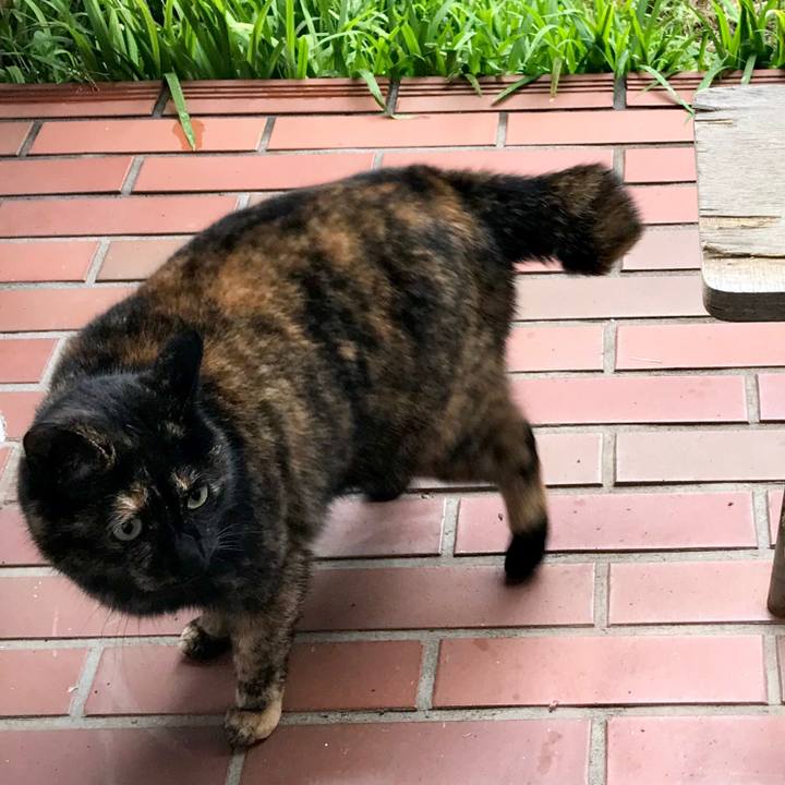 8f3d0d1a 583d 40bc 874d 3fee6e158b08 1520743515108