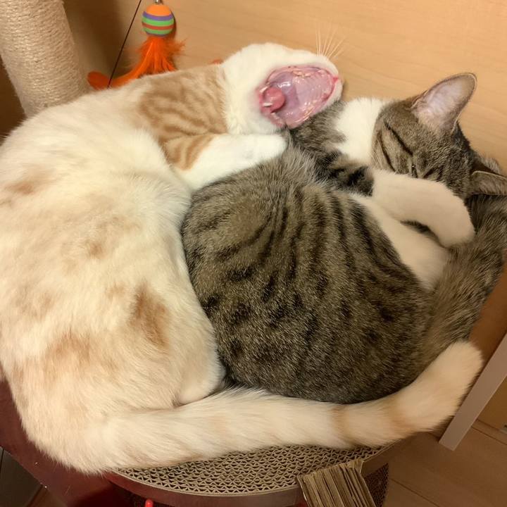 8f3d694d ec90 46a9 bfed 0aac76c0a660 1674715358719