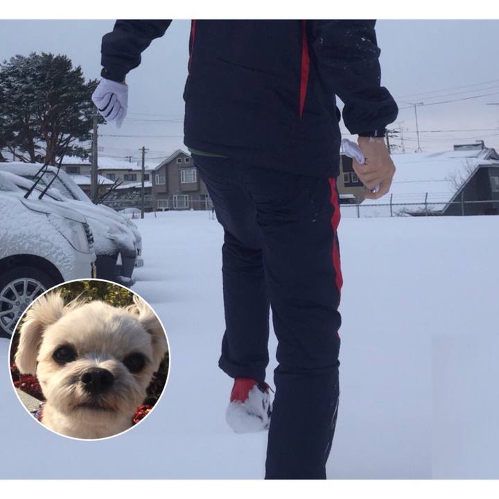 8f3d9073 0afe 4494 bdba cd7172879664 1519470629615