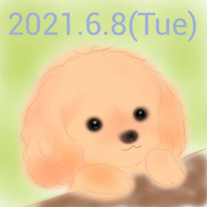 8f3daa29 d3ef 42f5 9cb3 2a128a455297 1623153729789