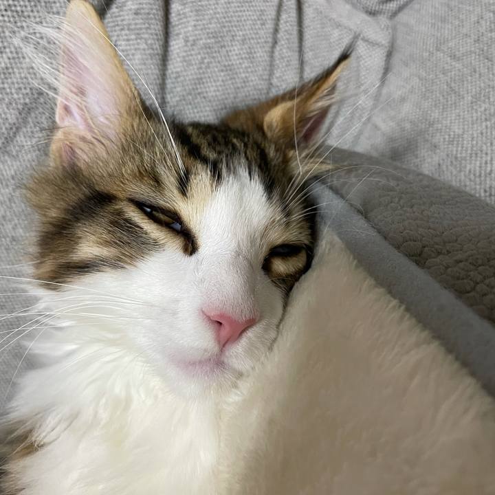 8f3db8a4 9d86 461f 838b fa3dc8a8b1e9 1634124242062