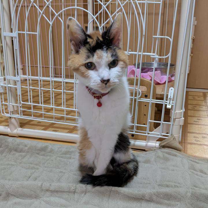 8f3dc5c6 5a47 4034 956c 7f9cbcd5731c 1767449498117