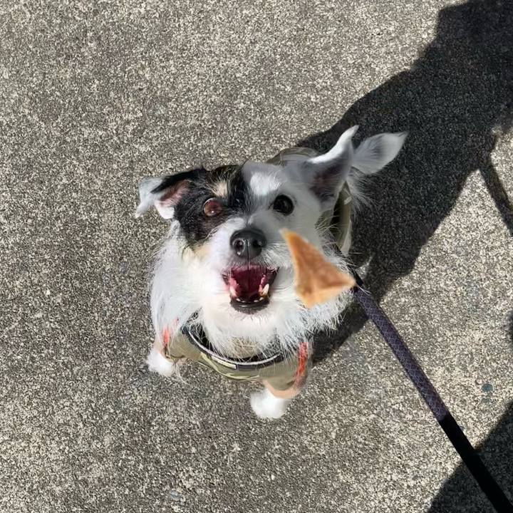 8f3de784 d1b0 4854 9347 c8284f274ef2 1708995568925