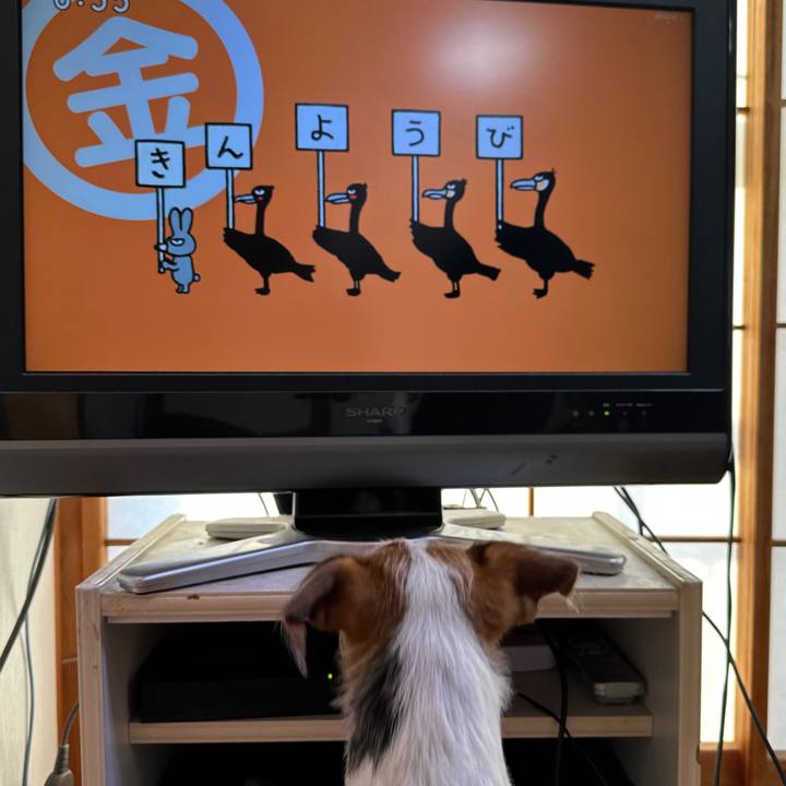 8f3e21be 4ab6 4def 8dfe 630a8838ad2d 1762467754865